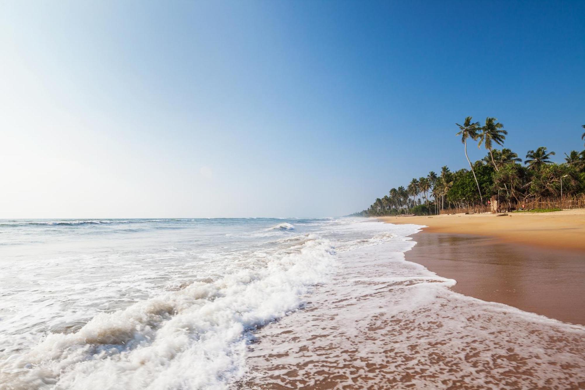 Siddhalepa Ayurveda Resort - All Meals, Ayurveda Treatment And Yoga Wadduwa Bagian luar foto