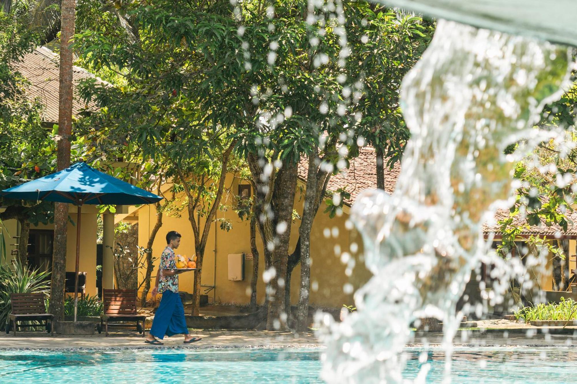 Siddhalepa Ayurveda Resort - All Meals, Ayurveda Treatment And Yoga Wadduwa Bagian luar foto