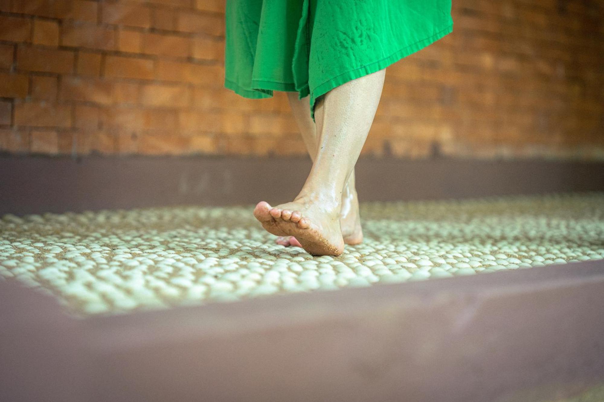 Siddhalepa Ayurveda Resort - All Meals, Ayurveda Treatment And Yoga Wadduwa Bagian luar foto
