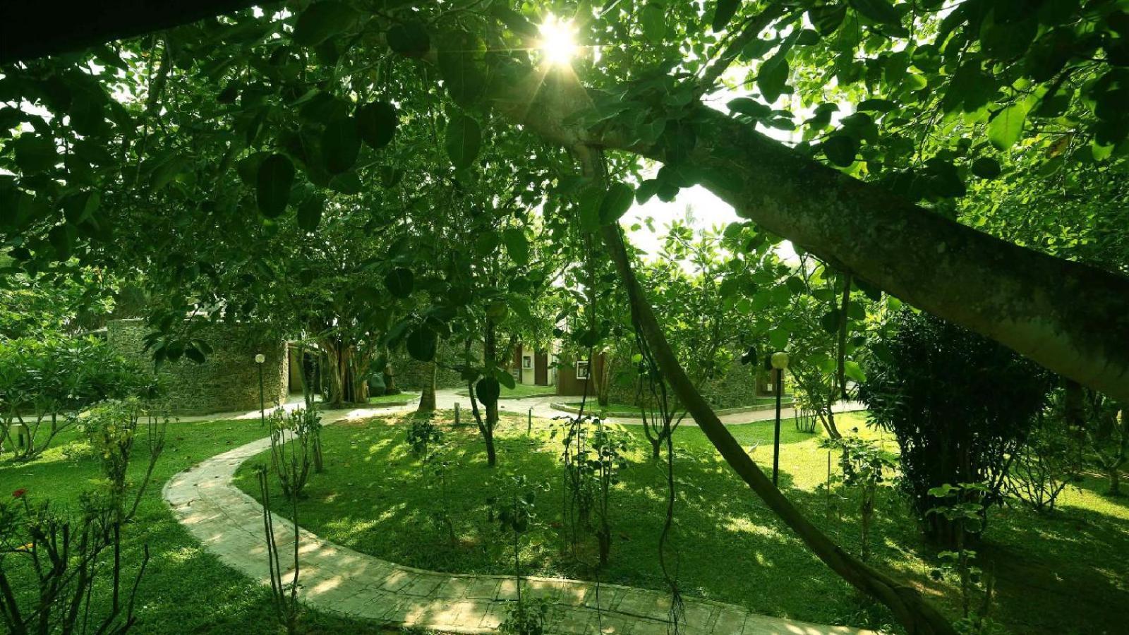 Siddhalepa Ayurveda Resort - All Meals, Ayurveda Treatment And Yoga Wadduwa Bagian luar foto